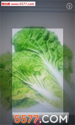 拍照识物精灵
