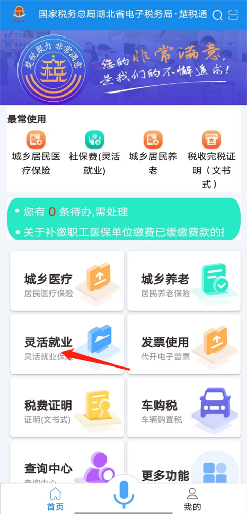 楚税通app