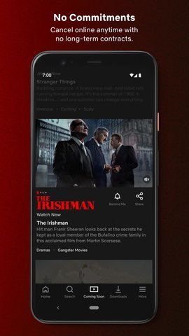 Netflix网飞 v2.1.0图
