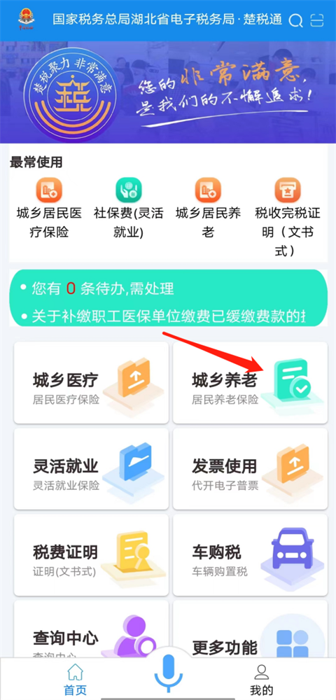楚税通app