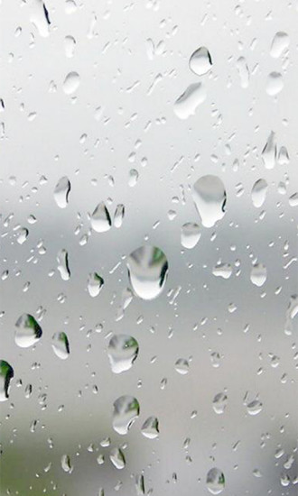 每日天气王