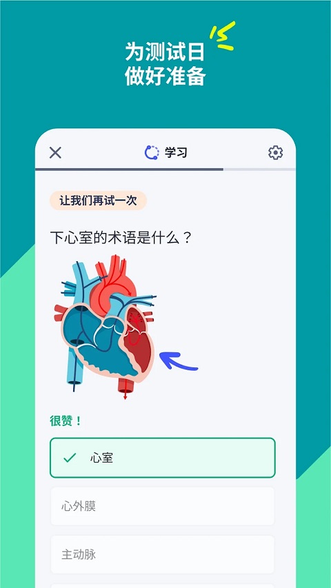 Quizlet安卓版下载 v8.42.1图
