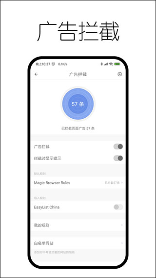 神奇浏览器下载 v0.9.8.4图