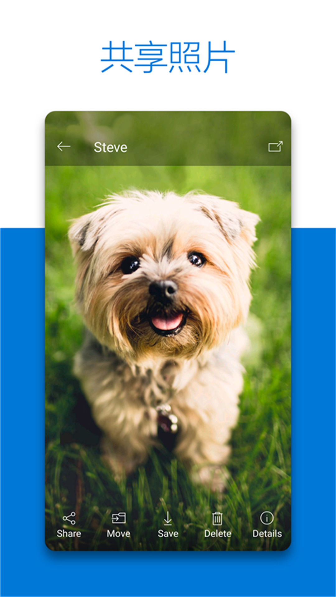 OneDrive安卓版 v7.16 (Beta 1)图