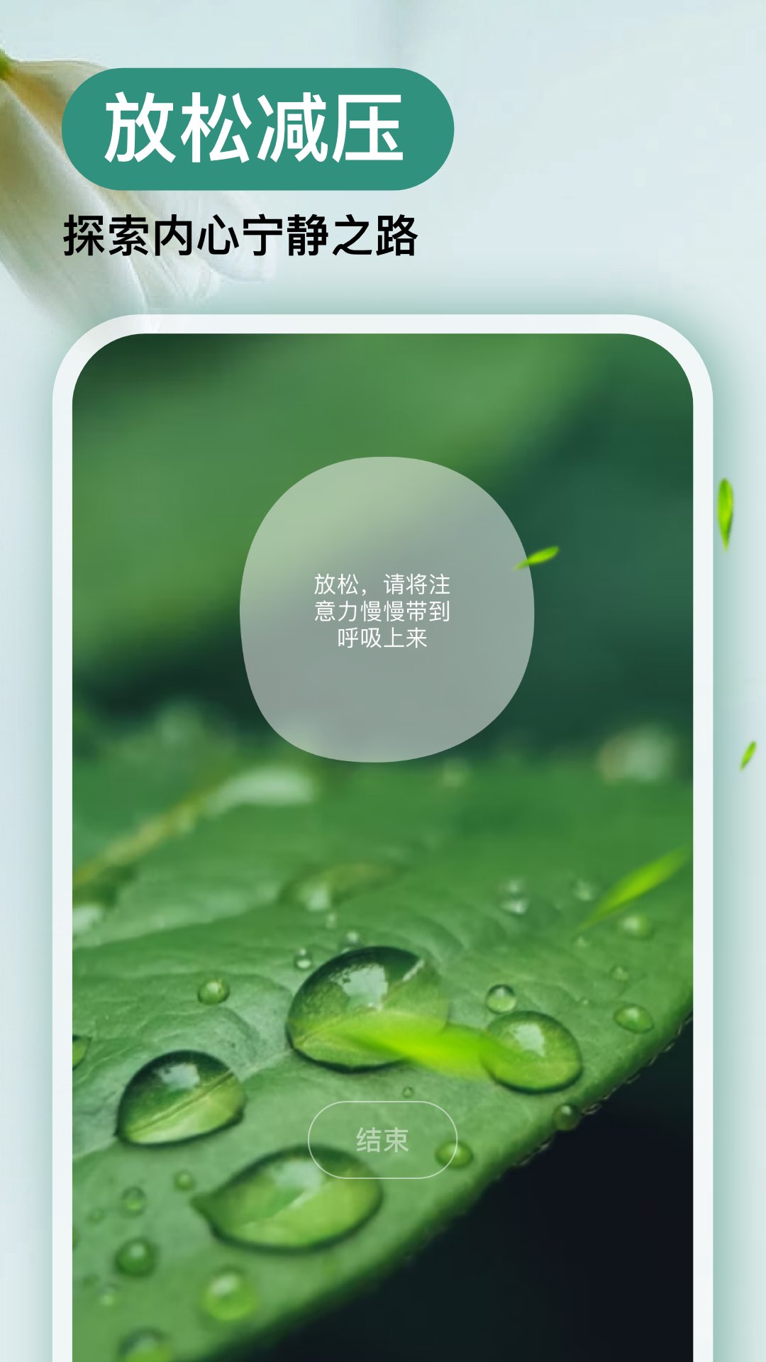 Now冥想app v4.8.8图