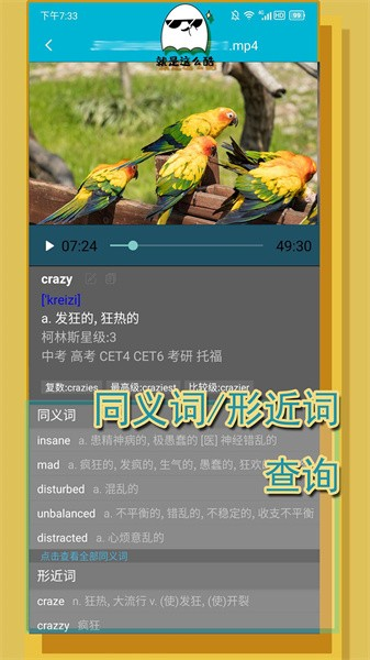 单词播放器app v3.6.1图
