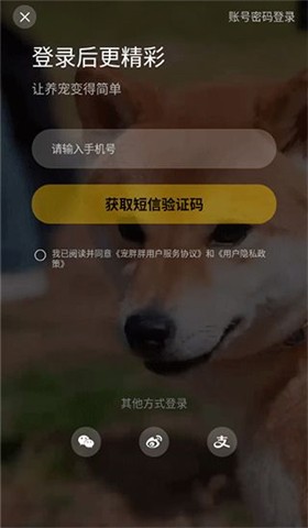 宠胖胖手机版