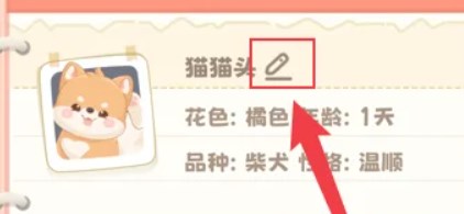 桌面汪手机版图