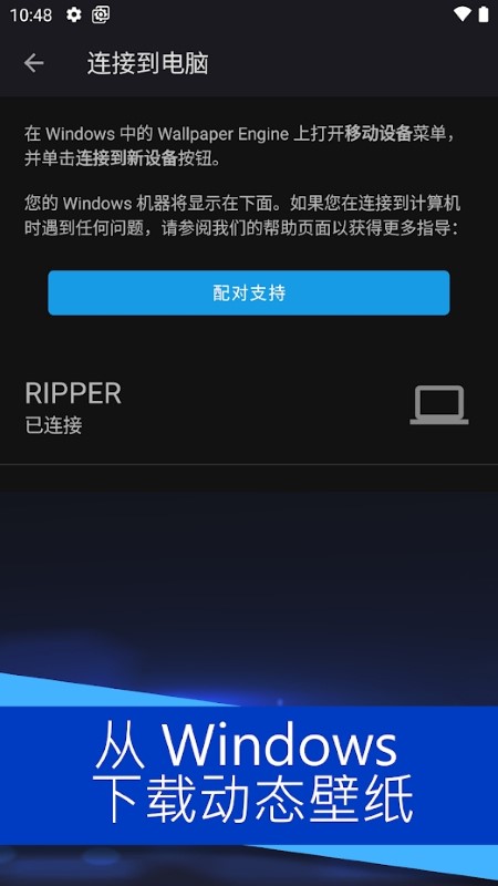 wallpaper engine v2.5.84图
