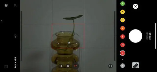 nomo相机
