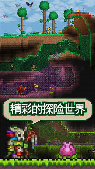 泰拉瑞亚 v1.4.49563图