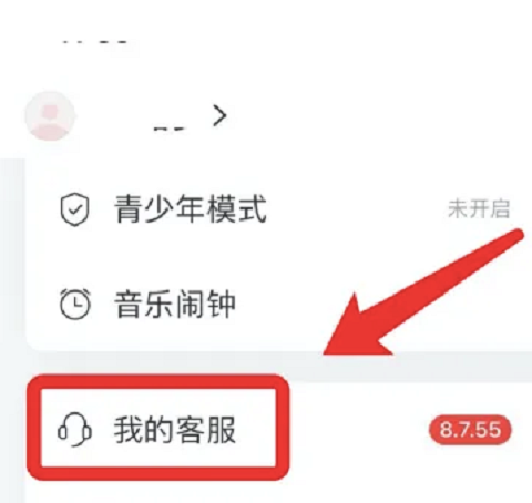 《网易云音乐》实名认证在哪里找